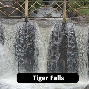 Tiger falls images